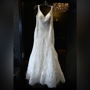 Wedding Dress and veil
